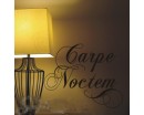 Carpe Noctem - A Latin phrase meaning "Seize the Night" 